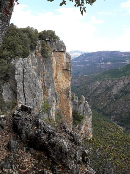 Sa Stiddiosa Guesthouse Gadoni Εξωτερικό φωτογραφία