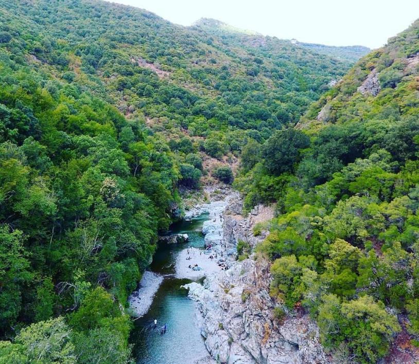 Sa Stiddiosa Guesthouse Gadoni Εξωτερικό φωτογραφία