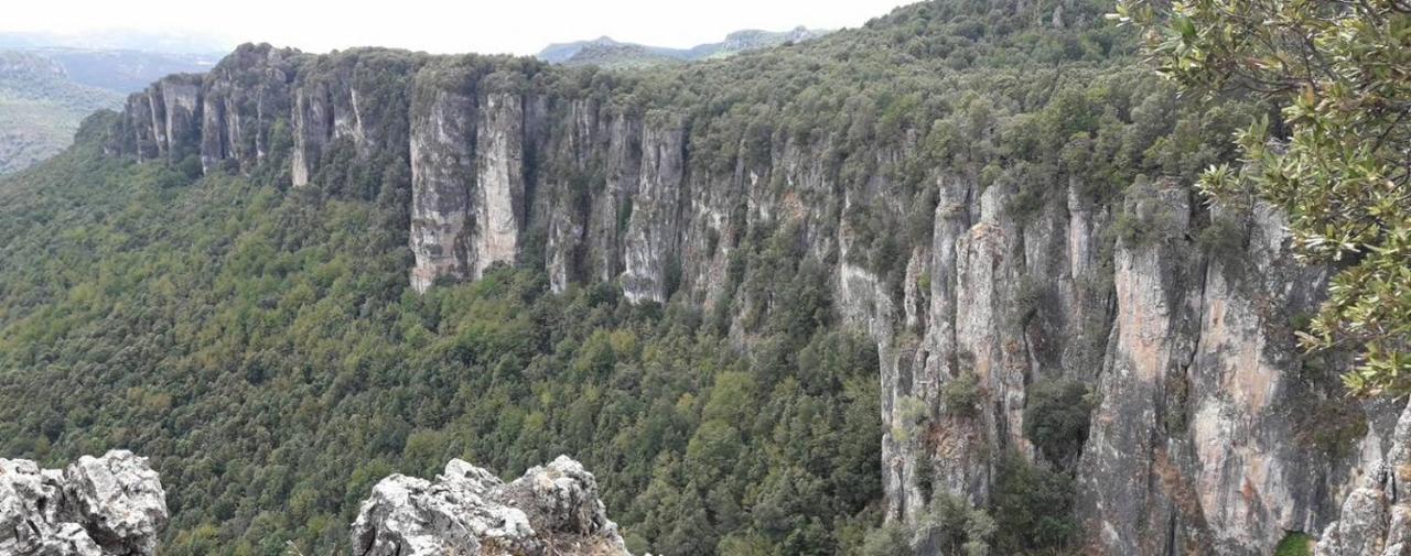 Sa Stiddiosa Guesthouse Gadoni Εξωτερικό φωτογραφία